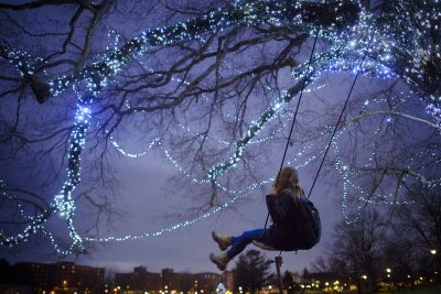 UConn Swing Tree lights